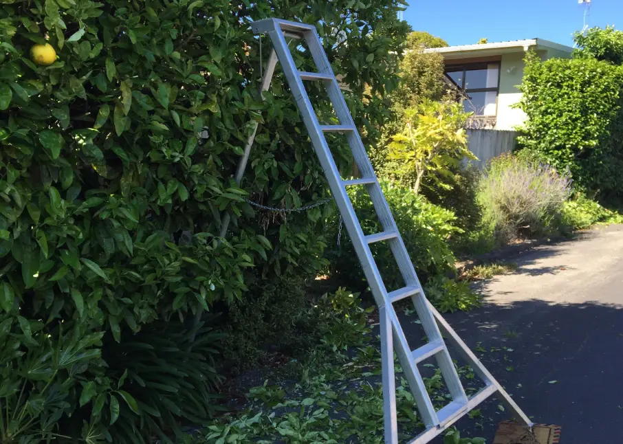 Hedge Trimming